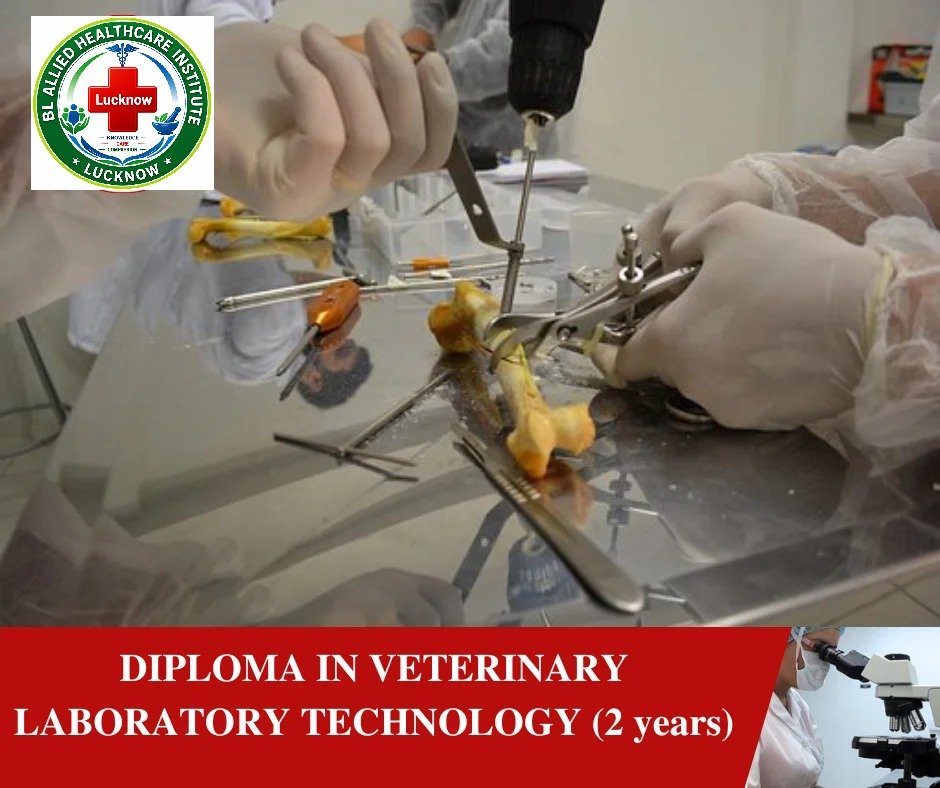 Diploma in Veterinary Laboratory Technology (DVLT)