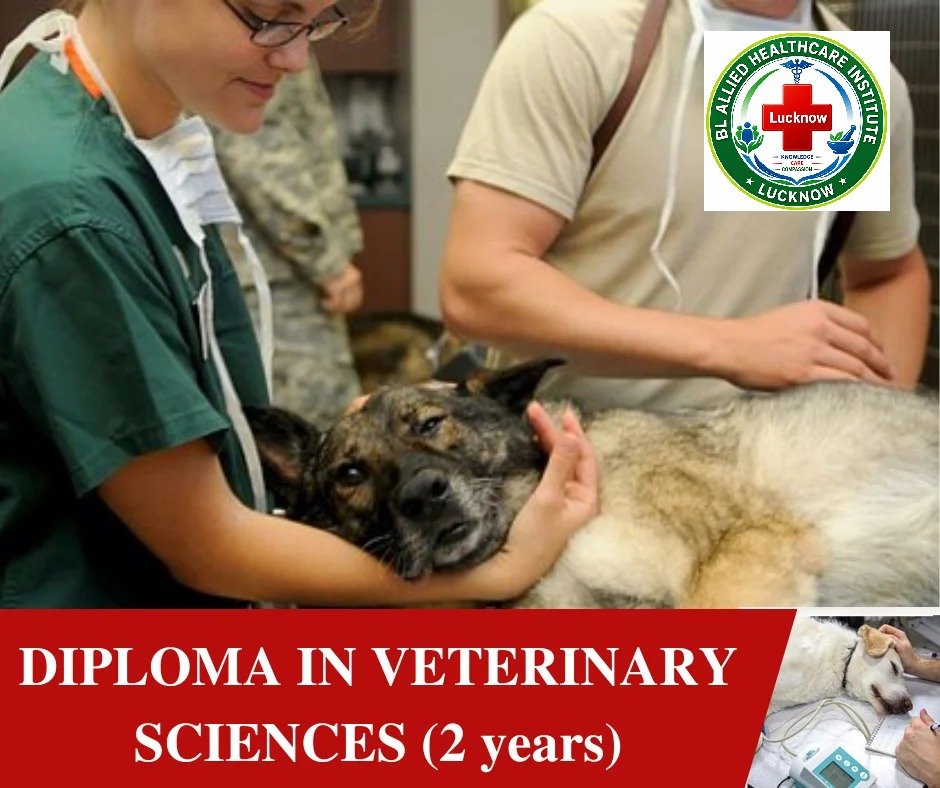Diploma in Veterinary Science (DVS)